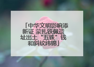 中华文明影响添新证 蒙扎铁佩遗址出土“五铢”钱和斜纹纬锦