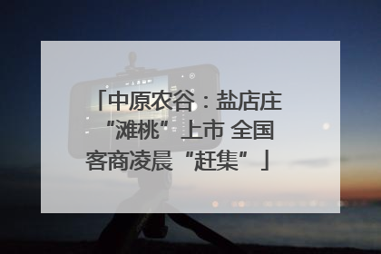 中原农谷：盐店庄“滩桃”上市 全国客商凌晨“赶集”