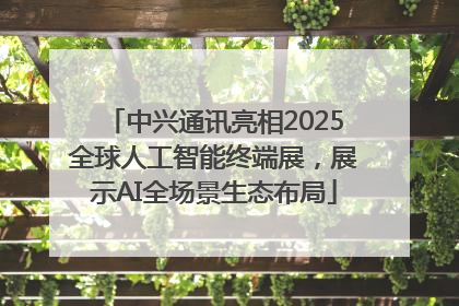 中兴通讯亮相2025全球人工智能终端展，展示AI全场景生态布局