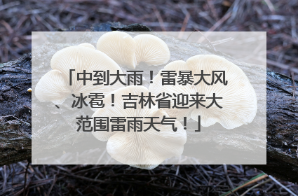中到大雨！雷暴大风、冰雹！吉林省迎来大范围雷雨天气！