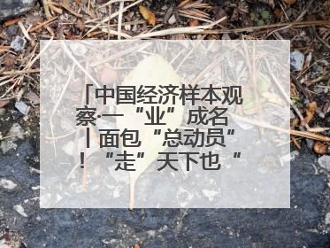 中国经济样本观察·一“业”成名丨面包“总动员”！“走”天下也“香”家乡