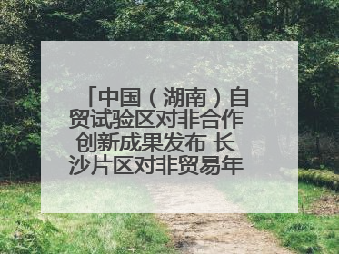 中国（湖南）自贸试验区对非合作创新成果发布 长沙片区对非贸易年均增长141%