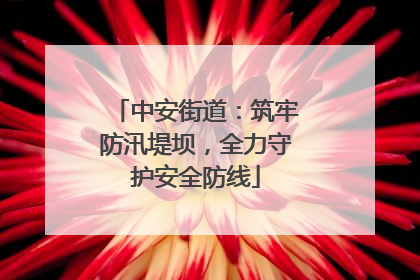 中安街道：筑牢防汛堤坝，全力守护安全防线
