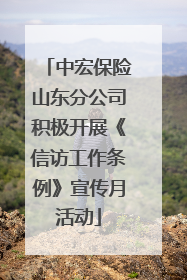 中宏保险山东分公司积极开展《信访工作条例》宣传月活动