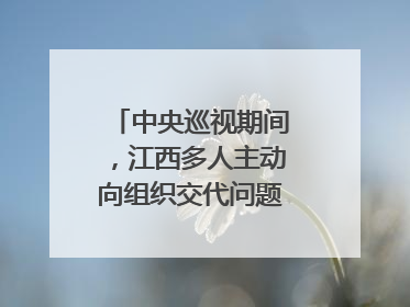 中央巡视期间，江西多人主动向组织交代问题｜打虎拍蝇
