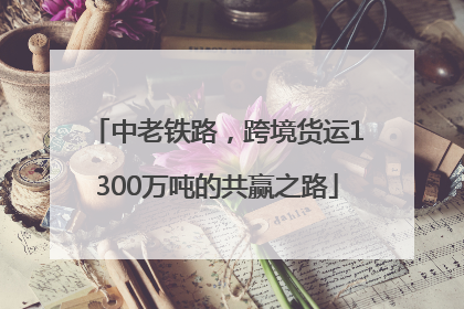 中老铁路，跨境货运1300万吨的共赢之路
