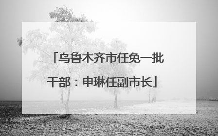 乌鲁木齐市任免一批干部：申琳任副市长