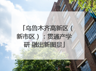 乌鲁木齐高新区（新市区）：贯通产学研 融出新图景