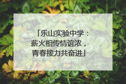 乐山实验中学：薪火相传情谊浓，青春接力共奋进