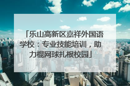 乐山高新区嘉祥外国语学校：专业技能培训，助力棍网球扎根校园