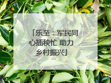 乐至：军民同心插秧忙 助力乡村振兴