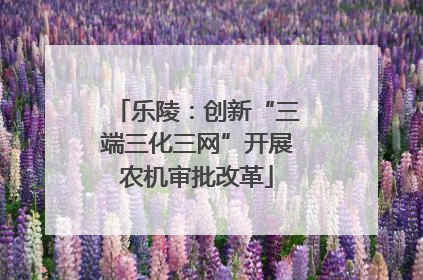 乐陵：创新“三端三化三网”开展农机审批改革