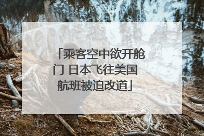 乘客空中欲开舱门 日本飞往美国航班被迫改道