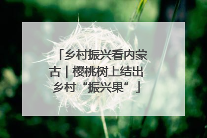 乡村振兴看内蒙古｜樱桃树上结出乡村“振兴果”
