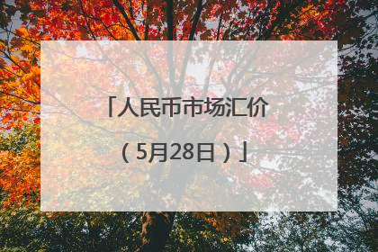 人民币市场汇价（5月28日）