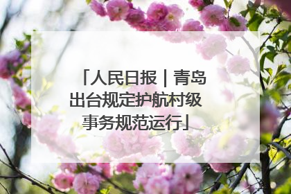 人民日报｜青岛出台规定护航村级事务规范运行