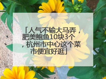 人气不输大马弄，肥美鲍鱼10块3个，杭州市中心这个菜市便宜好逛