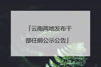 云南两地发布干部任前公示公告