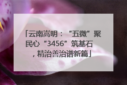 云南嵩明：“五微”聚民心“3456”筑基石，精治善治谱新篇