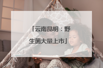 云南昆明：野生菌大量上市