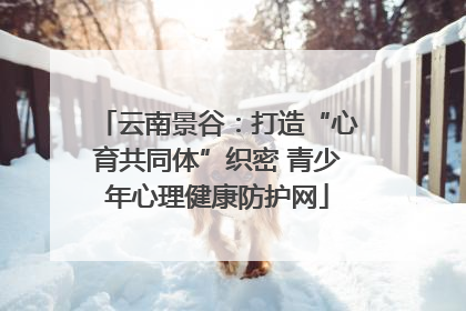 云南景谷：打造“心育共同体”织密 青少年心理健康防护网