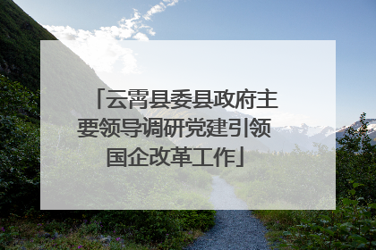 云霄县委县政府主要领导调研党建引领国企改革工作