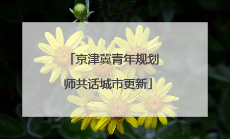 京津冀青年规划师共话城市更新