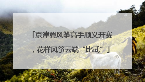 京津冀风筝高手顺义开赛，花样风筝云端“比武”