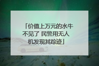 价值上万元的水牛不见了 民警用无人机发现其踪迹