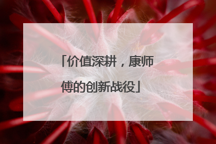 价值深耕，康师傅的创新战役