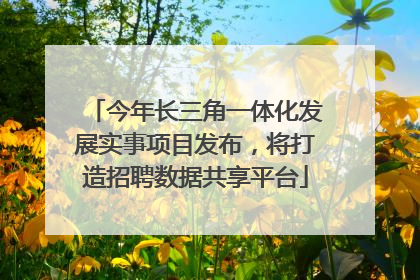 今年长三角一体化发展实事项目发布，将打造招聘数据共享平台