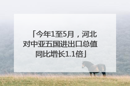 今年1至5月，河北对中亚五国进出口总值同比增长1.1倍