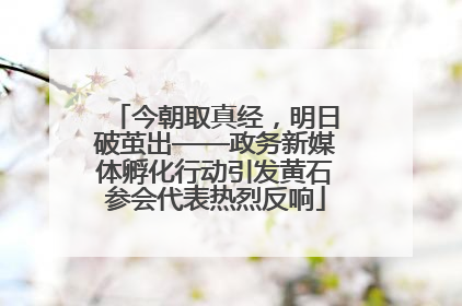 今朝取真经，明日破茧出——政务新媒体孵化行动引发黄石参会代表热烈反响