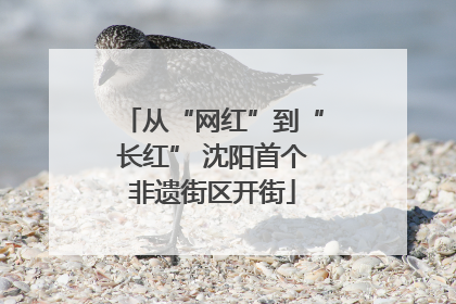 从“网红”到“长红” 沈阳首个非遗街区开街
