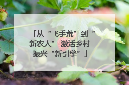 从“飞手荒”到“新农人” 激活乡村振兴“新引擎”