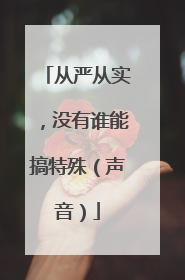 从严从实，没有谁能搞特殊（声音）