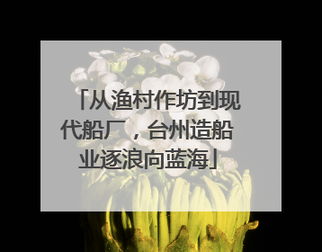 从渔村作坊到现代船厂，台州造船业逐浪向蓝海