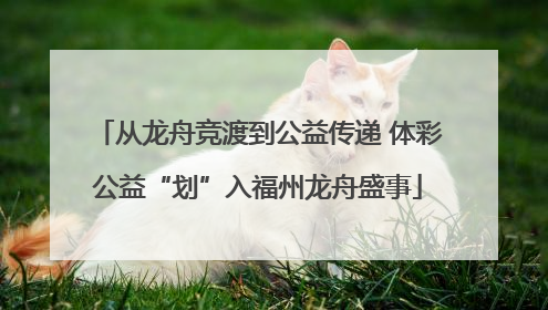 从龙舟竞渡到公益传递 体彩公益“划”入福州龙舟盛事