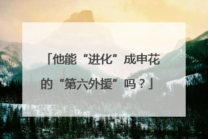 他能“进化”成申花的“第六外援”吗？