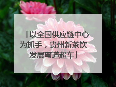 以全国供应链中心为抓手，贵州新茶饮发展弯道超车
