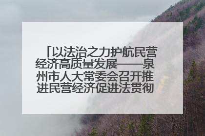 以法治之力护航民营经济高质量发展——泉州市人大常委会召开推进民营经济促进法贯彻实施座谈会