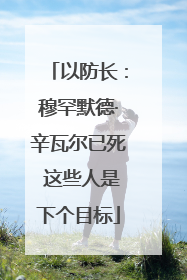 以防长：穆罕默德·辛瓦尔已死 这些人是下个目标