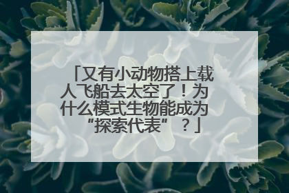 又有小动物搭上载人飞船去太空了！为什么模式生物能成为“探索代表”？