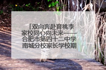 双向奔赴育桃李 家校同心向未来——合肥市第四十二中学南城分校家长学校期末总结会圆满召开