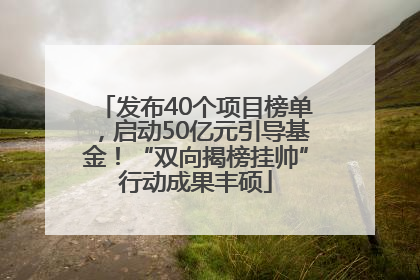 发布40个项目榜单，启动50亿元引导基金！“双向揭榜挂帅”行动成果丰硕