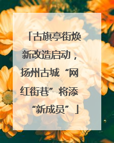 古旗亭街焕新改造启动，扬州古城“网红街巷”将添“新成员”