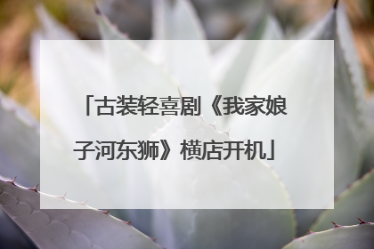 古装轻喜剧《我家娘子河东狮》横店开机