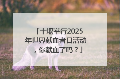 十堰举行2025年世界献血者日活动，你献血了吗？