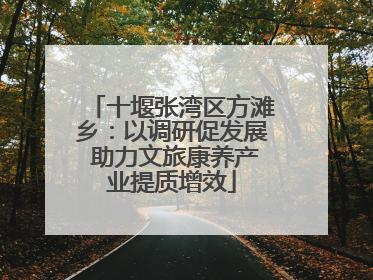 十堰张湾区方滩乡：以调研促发展 助力文旅康养产业提质增效