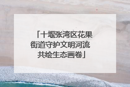 十堰张湾区花果街道守护文明河流 共绘生态画卷